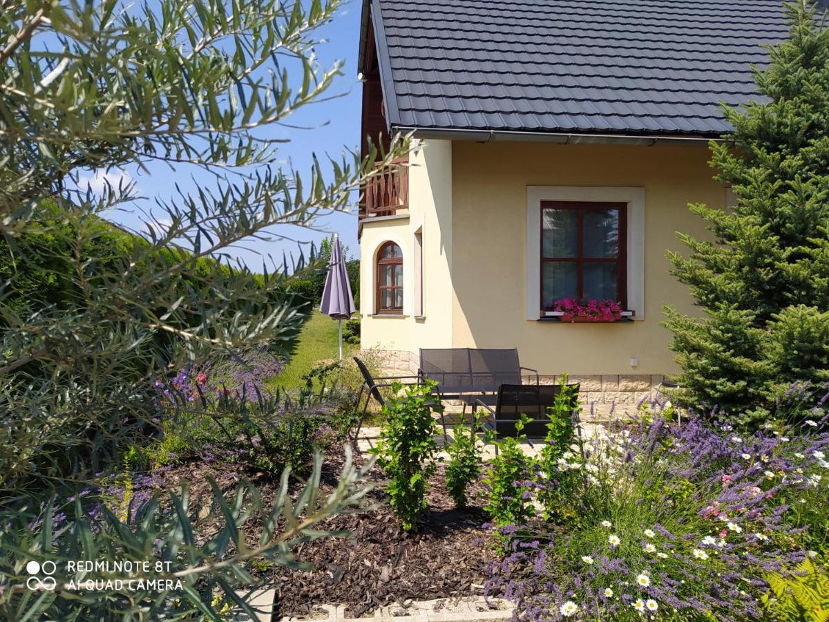 Villa Vila Callum Relax & Wellness Ostrava Exterior foto